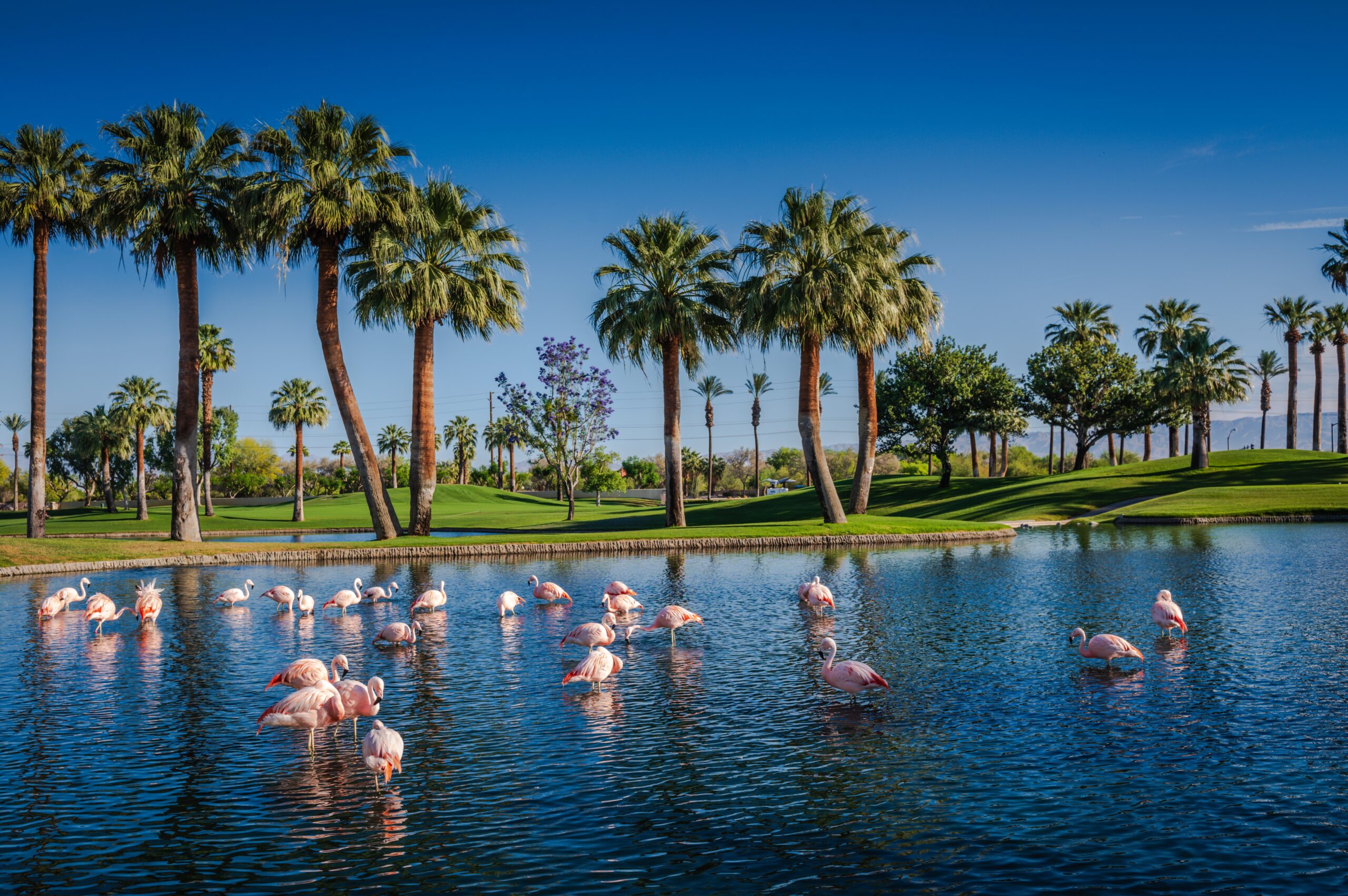 pre-listing home inspection Orange County