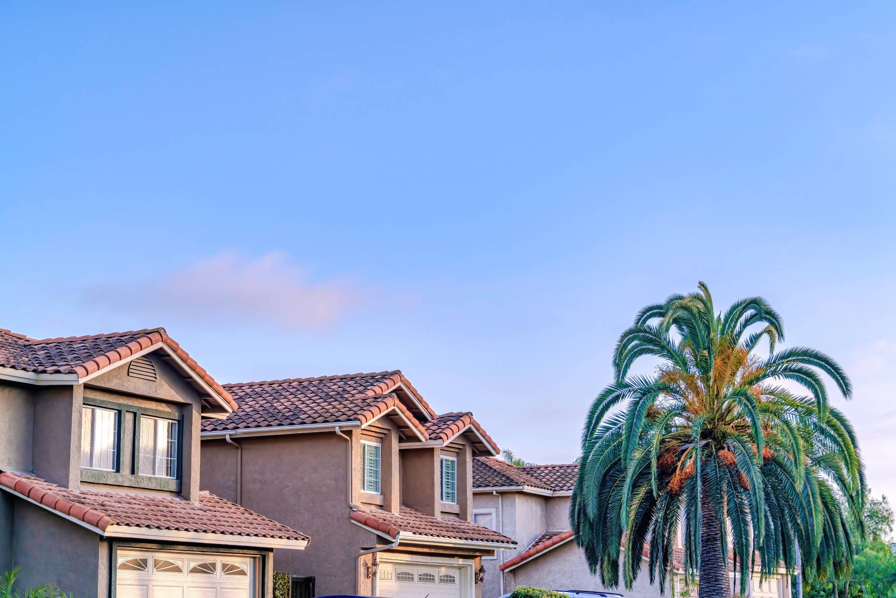 weirdest things home inspectors find